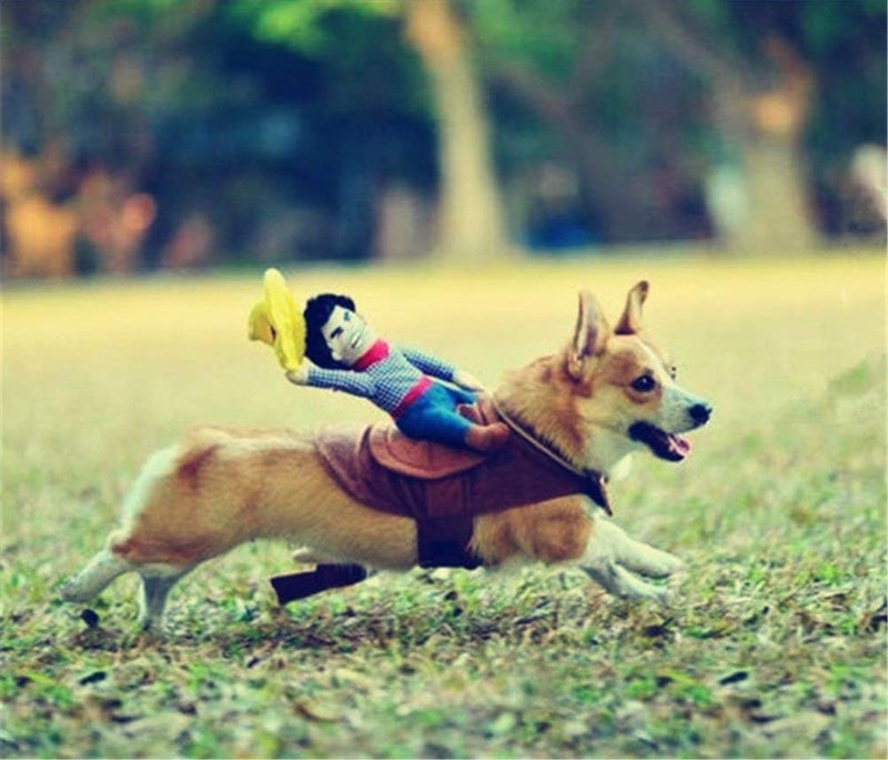 Hotumn Christmas Dog Costume Pet Costume Pet Suit Cowboy Rider Style Dog Halloween Costume Pet Funny Clothes (XS, Cowboy Rider) - Image 2